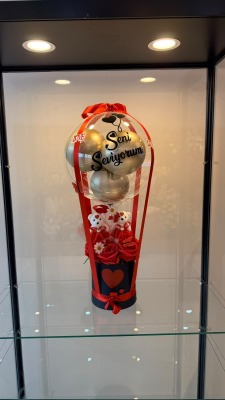 BALON VE AYICIKLAR BALON VE AYICIKLAR