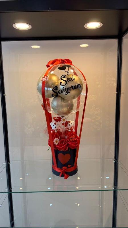 BALON VE AYICIKLAR