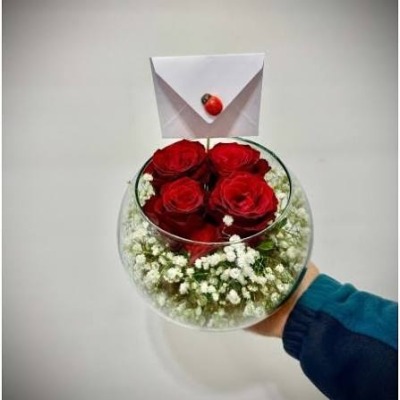 FANUSTA 4 GÜL (Canlı)